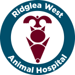 Veterinarian in Fort Worth, TX
